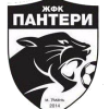 teamLogo